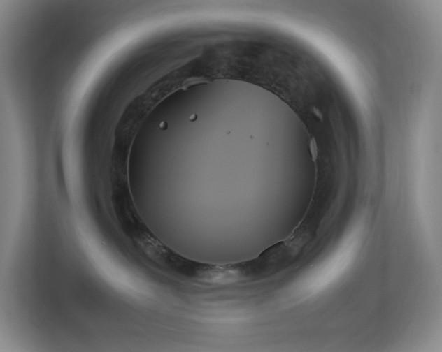 X0000113890239200909241423