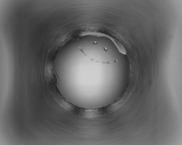 X0000113890240200909241423
