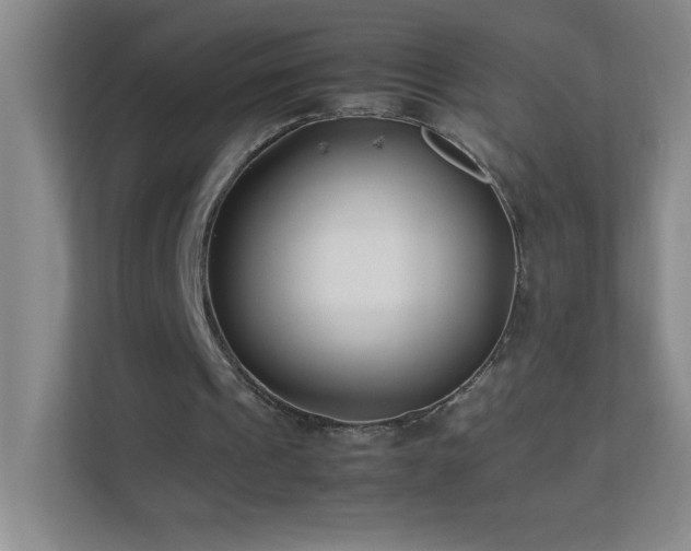 X0000113890241200909241423