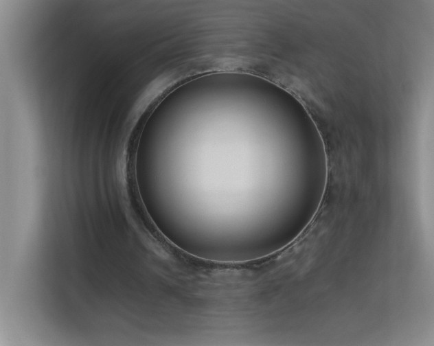 X0000113890242200909241423