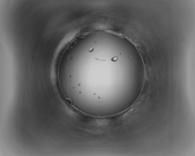 X0000113890245200909241423
