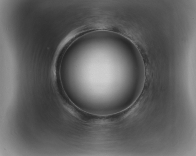 X0000113890246200909241423