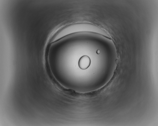 X0000113890248200909241423