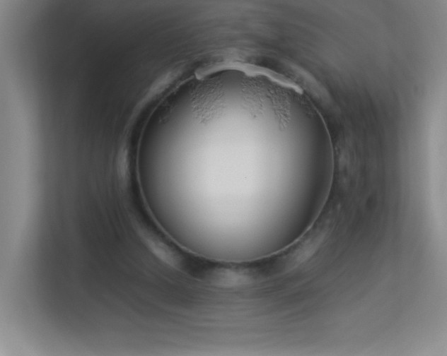 X0000113890250200909241423
