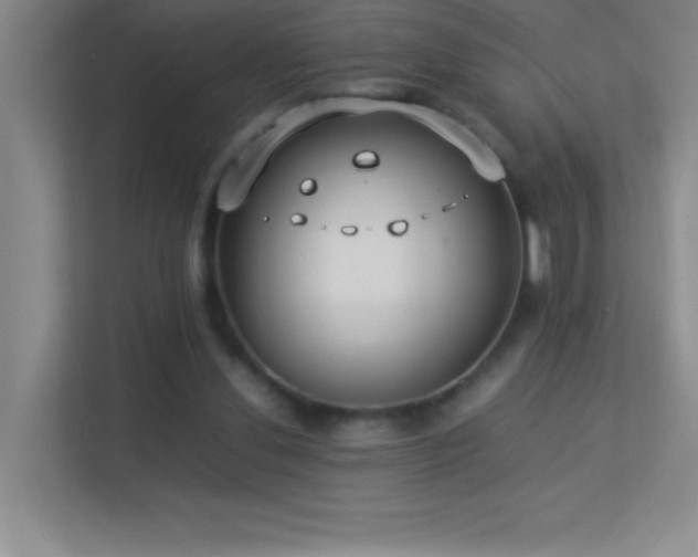 X0000113890252200909241423