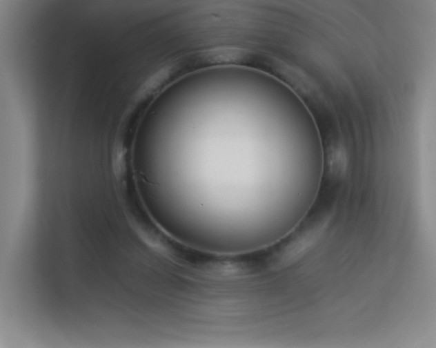 X0000113890254200909241423