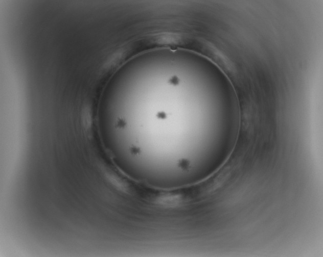 X0000113890257200909241423