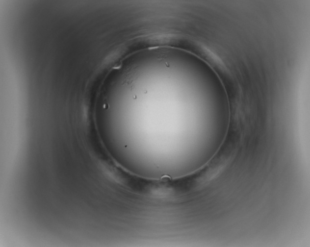 X0000113890258200909241423