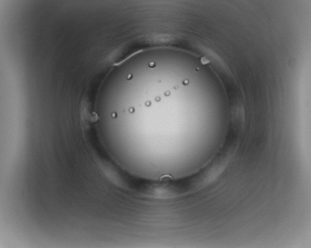 X0000113890264200909241423