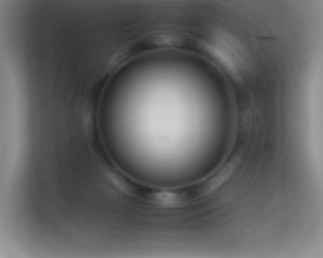 X0000113890265200909241423
