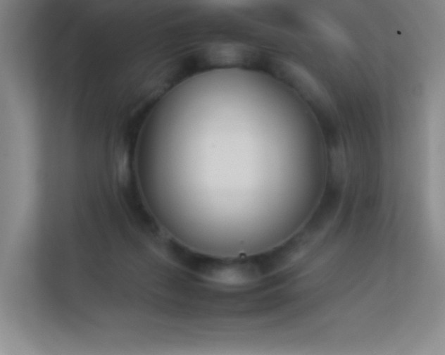 X0000113890267200909241423