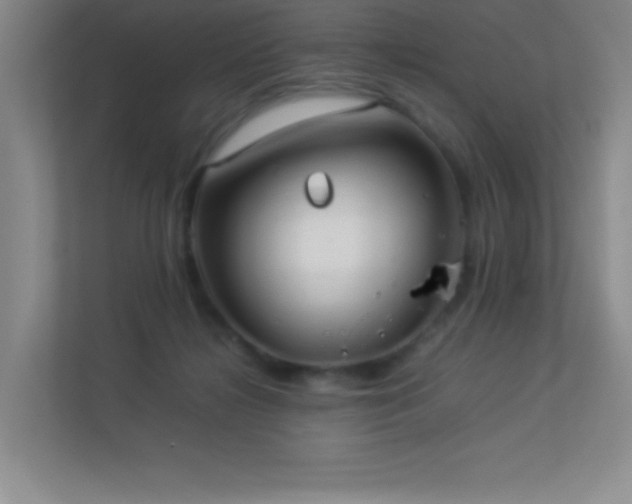 X0000113890268200909241423