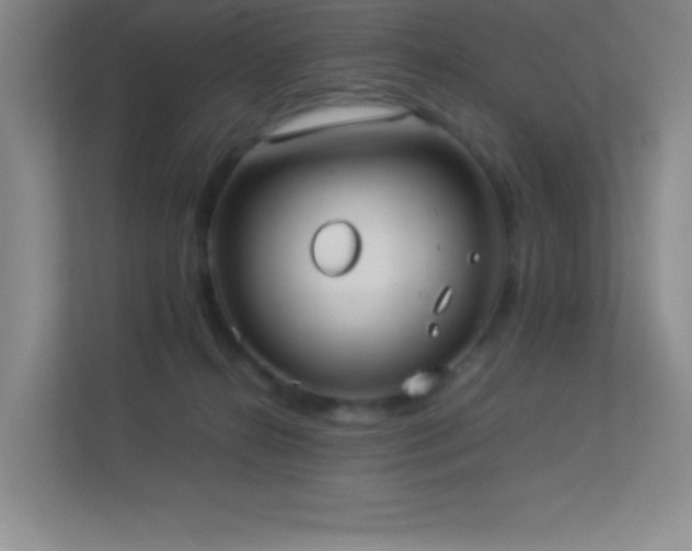 X0000113890272200909241423