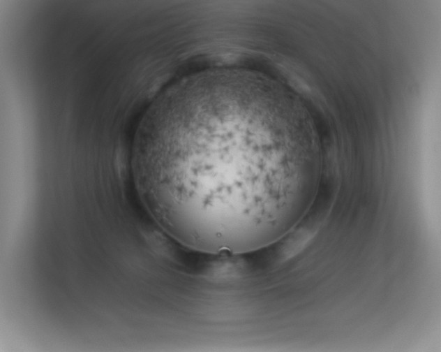 X0000113890274200909241423