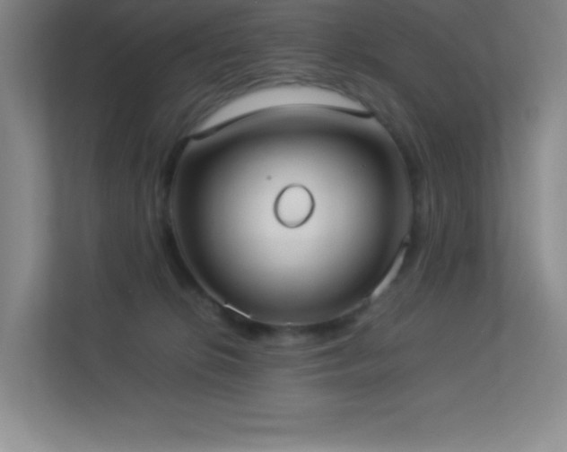 X0000113890276200909241423
