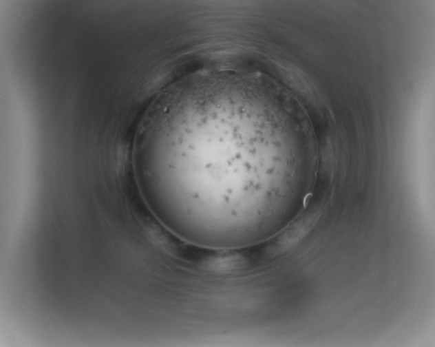 X0000113890278200909241423