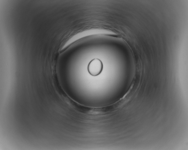 X0000113890280200909241423