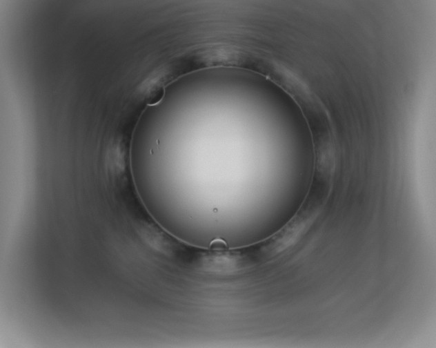 X0000113890282200909241423