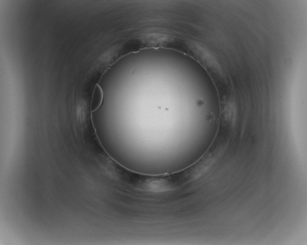 X0000113890283200909241423