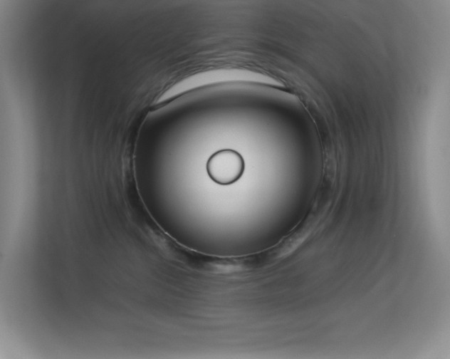 X0000113890284200909241423