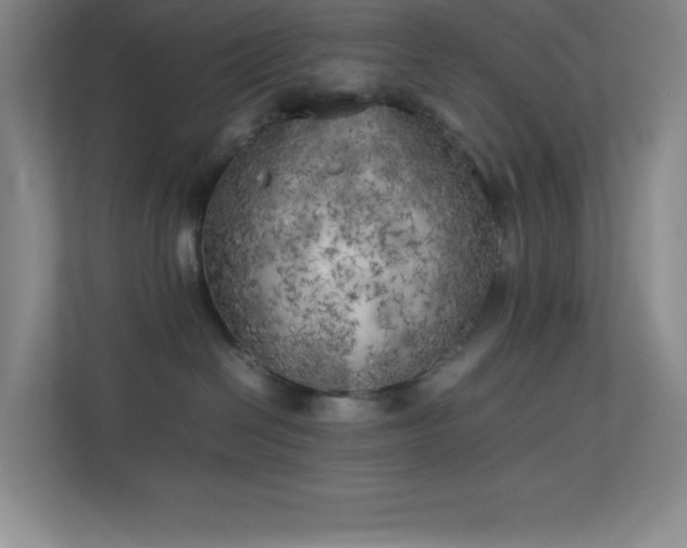 X0000113890286200909241423