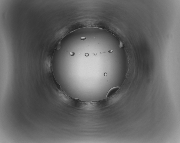 X0000113890288200909241423
