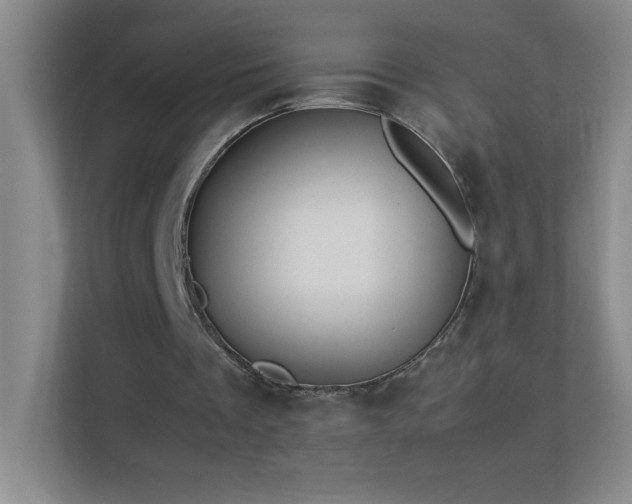 X0000113890289200909241423