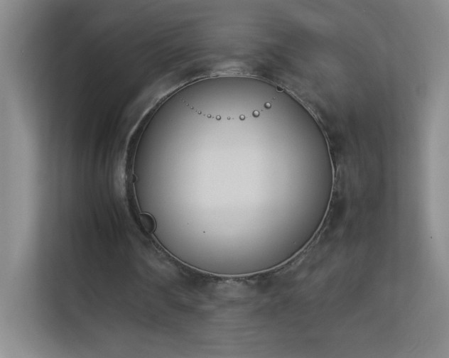 X0000113890290200909241423
