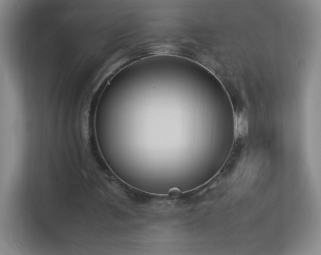 X0000113890291200909241423