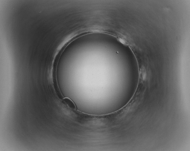 X0000113890292200909241423