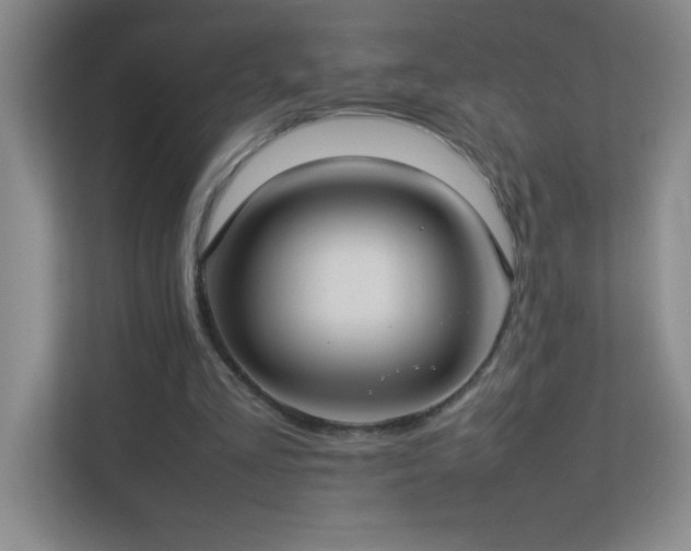 X0000113890293200909241423
