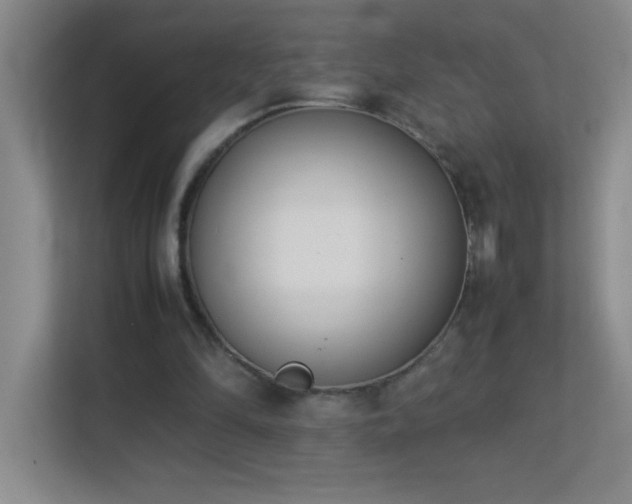 X0000113890294200909241423