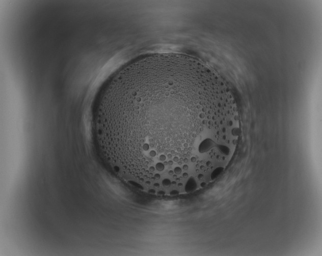 X0000113890295200909241423