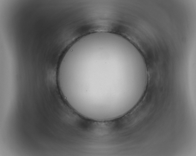 X0000113890297200909241423