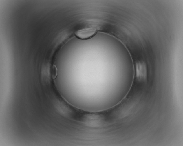 X0000113890300200909241423