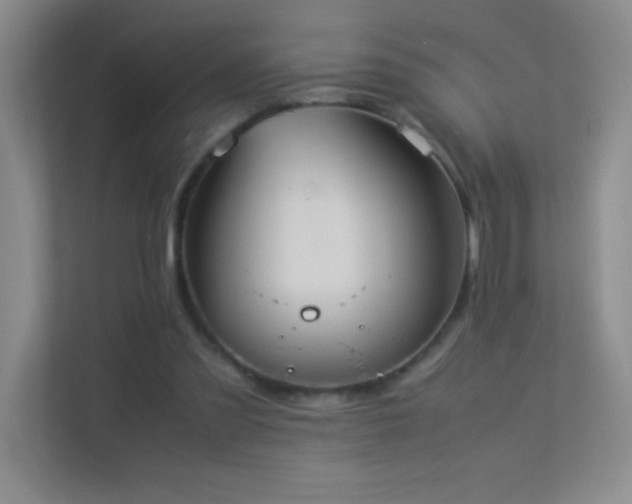 X0000113890301200909241423