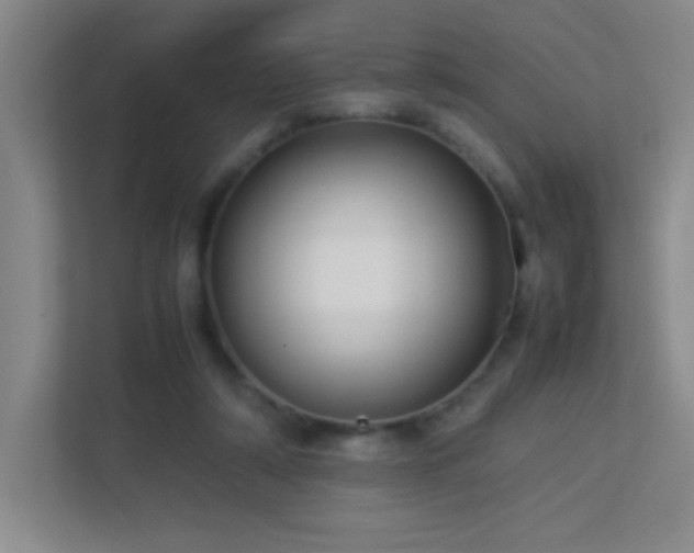 X0000113890306200909241423