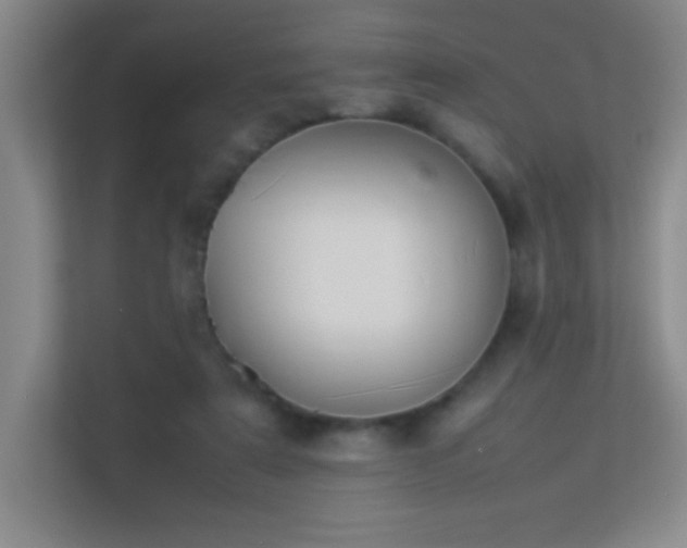 X0000113890307200909241422