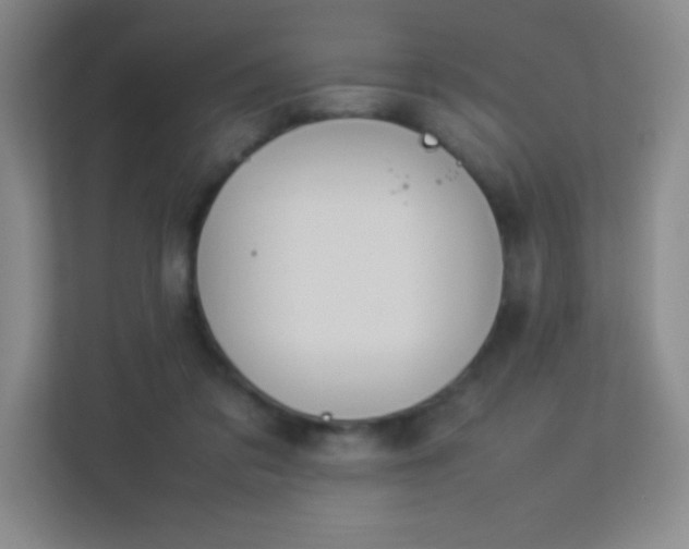X0000113890309200909241422