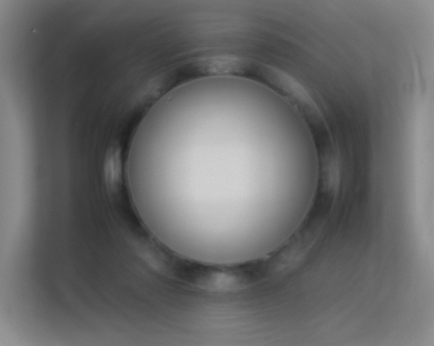 X0000113890310200909241422