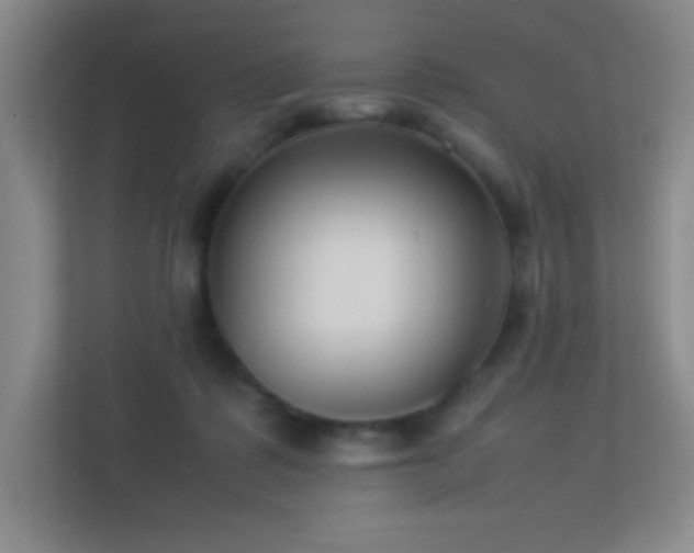 X0000113890315200909241422
