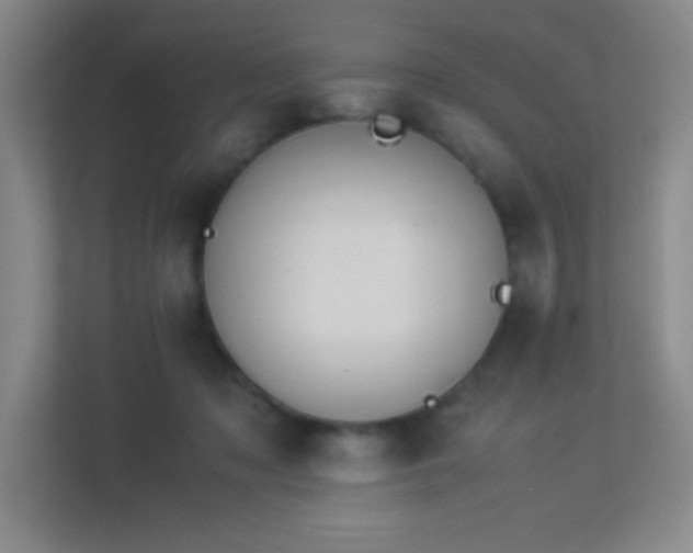 X0000113890317200909241422