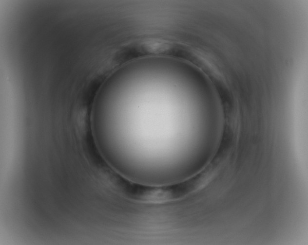 X0000113890319200909241422