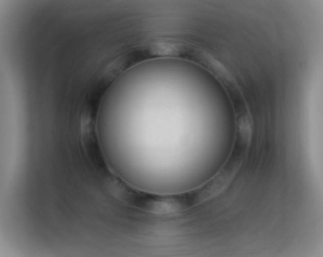 X0000113890322200909241422