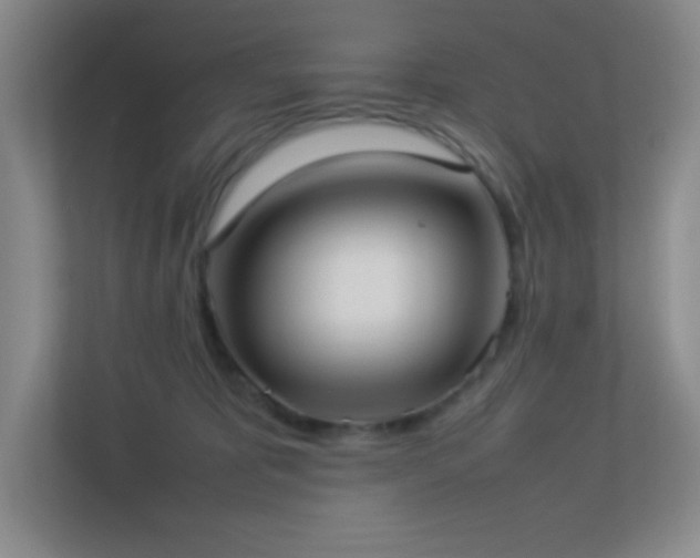 X0000113890325200909241422