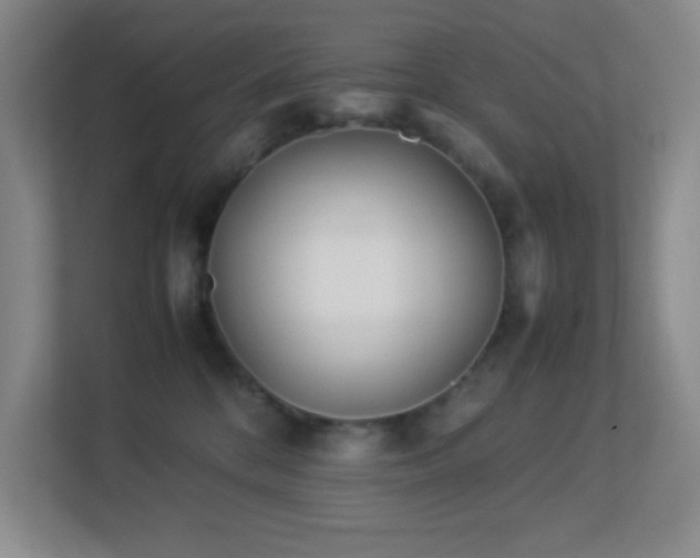 X0000113890328200909241422