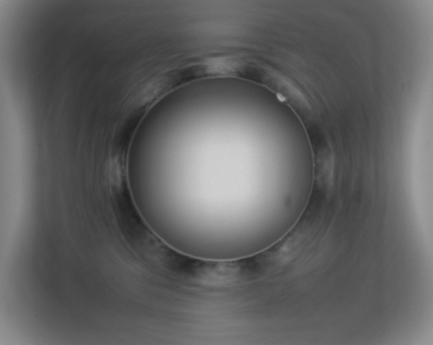 X0000113890329200909241422