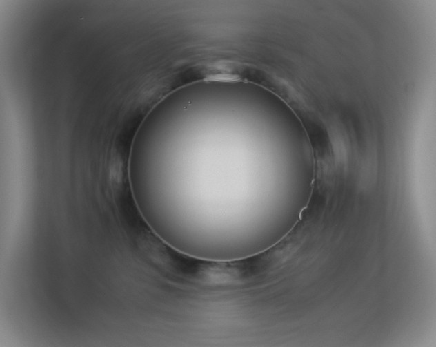 X0000113890331200909241422