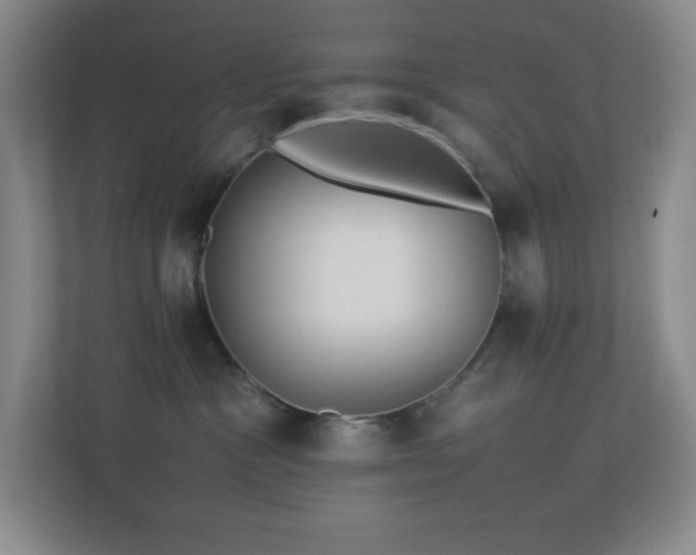 X0000113890333200909241422