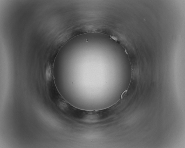 X0000113890335200909241422